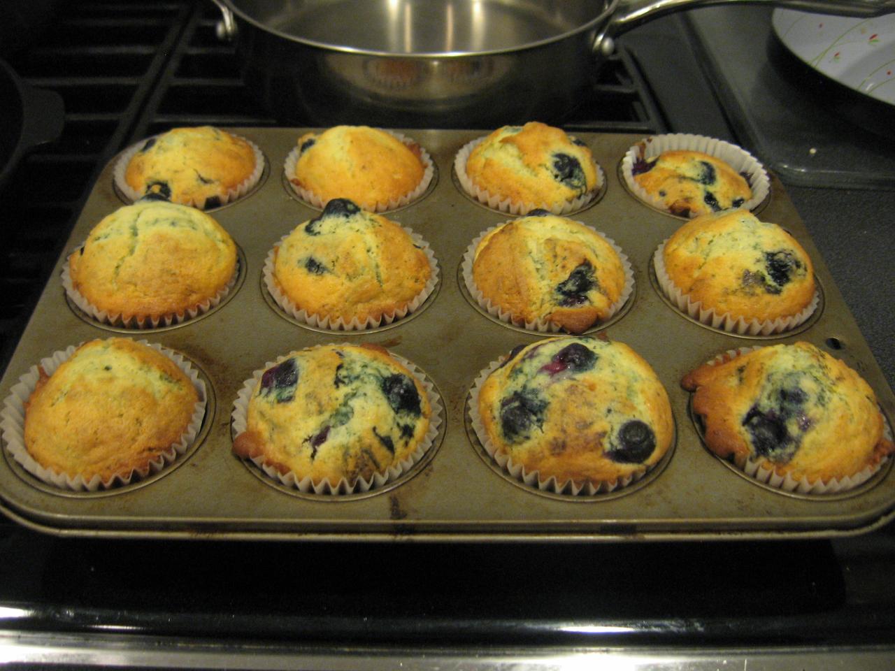 Apple Cranberry Compote and Blueberry Muffins