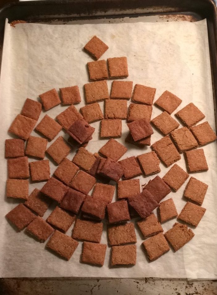 Pumpkin Peanut Butter Dog Treats or The Reincarnation of Percy the Pumpkin