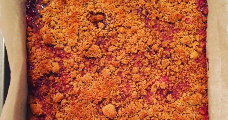 Coconut Flour Raspberry Bars
