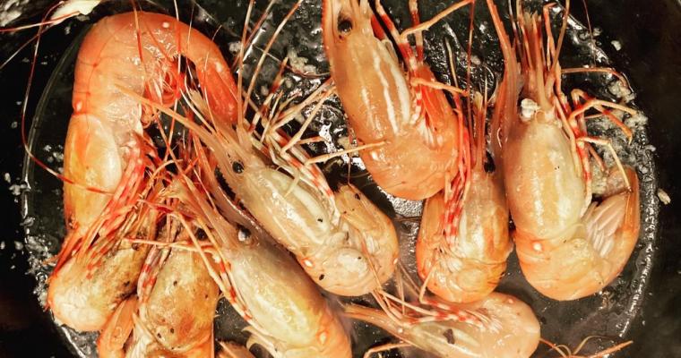 Scary Delicious Spot Prawn Stock