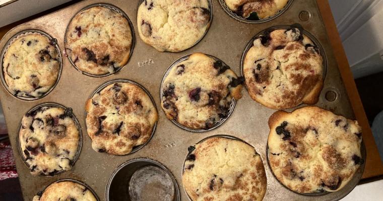 Blueberry Lemon Muffins